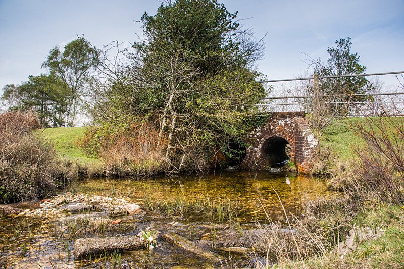 Holmesley - New Forest