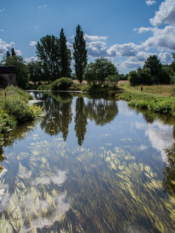 Stour at Blandford - River