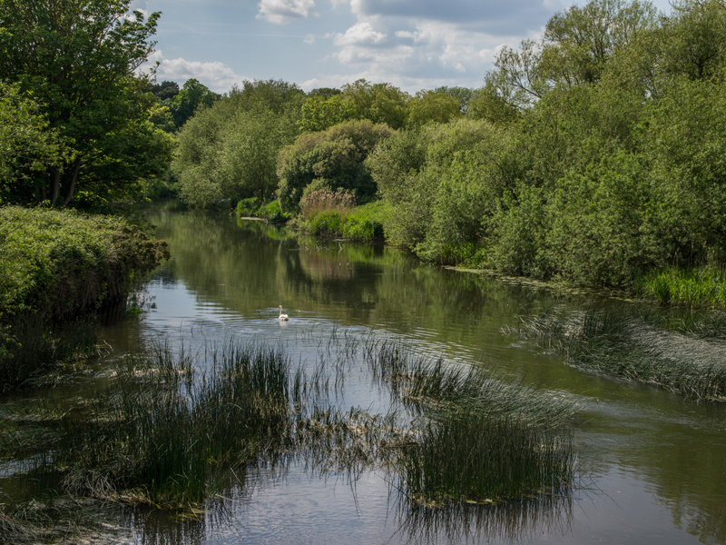 Stour at Iford - River