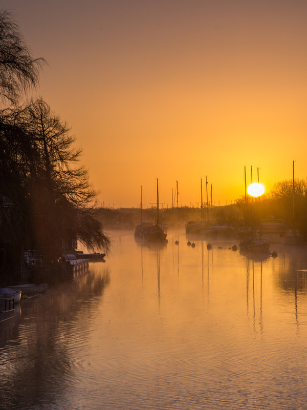 Frome at Wareham - River