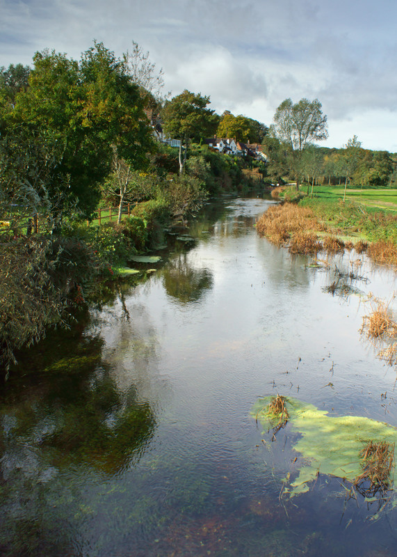 Spetisbury Stour - River