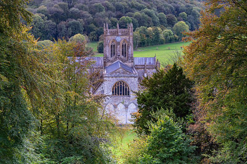 Milton Abbas - Autumn