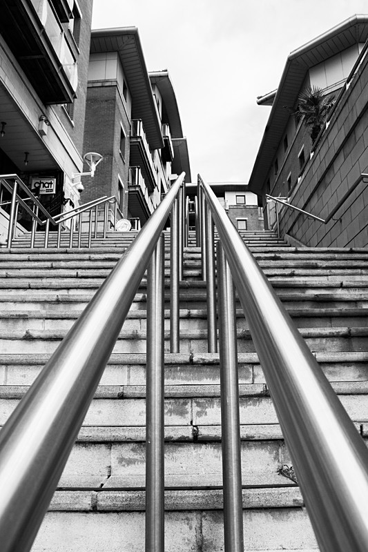 Going Up - Black and White