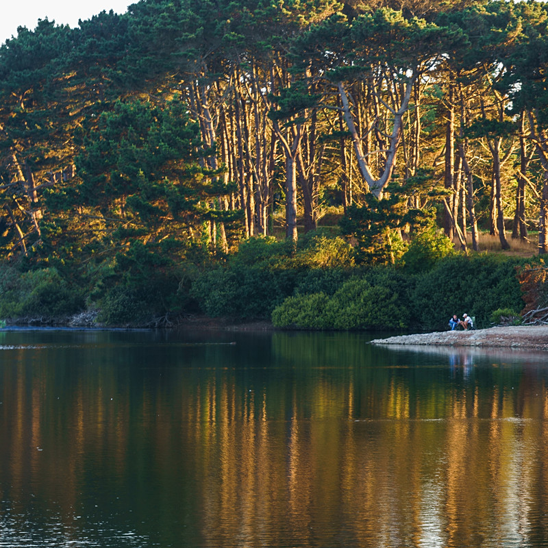 Evening - Guernsey
