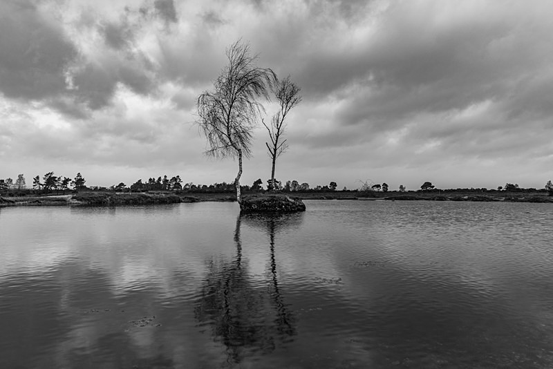 Little Island - Black and White
