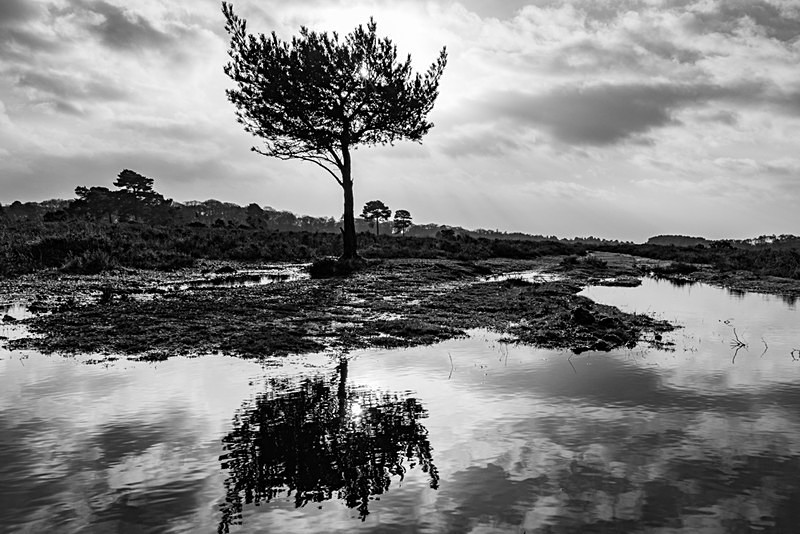 Rockford Reflection - Black and White