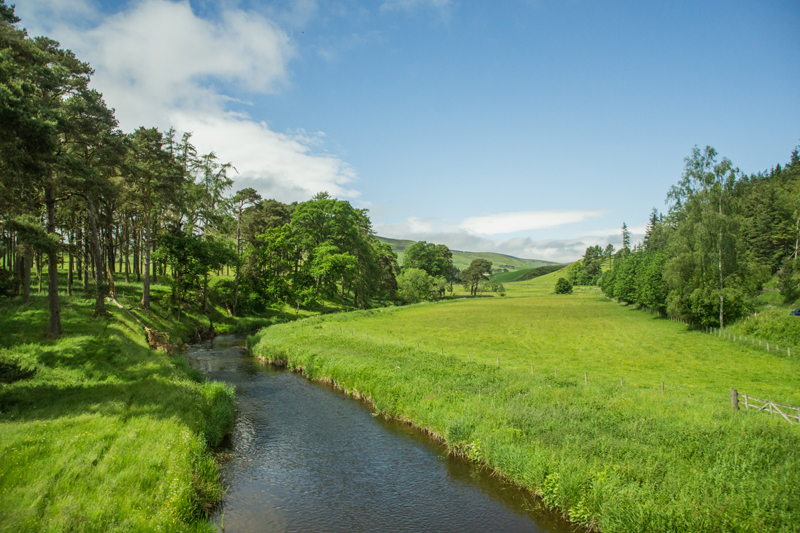 Traquair Tweed - River