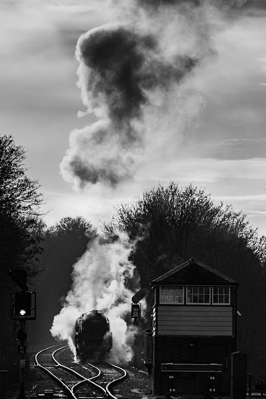 Full steam ahead - Black and White