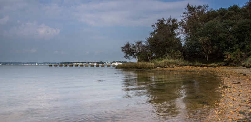 Bramble Bush Bay Reflections - Coastal