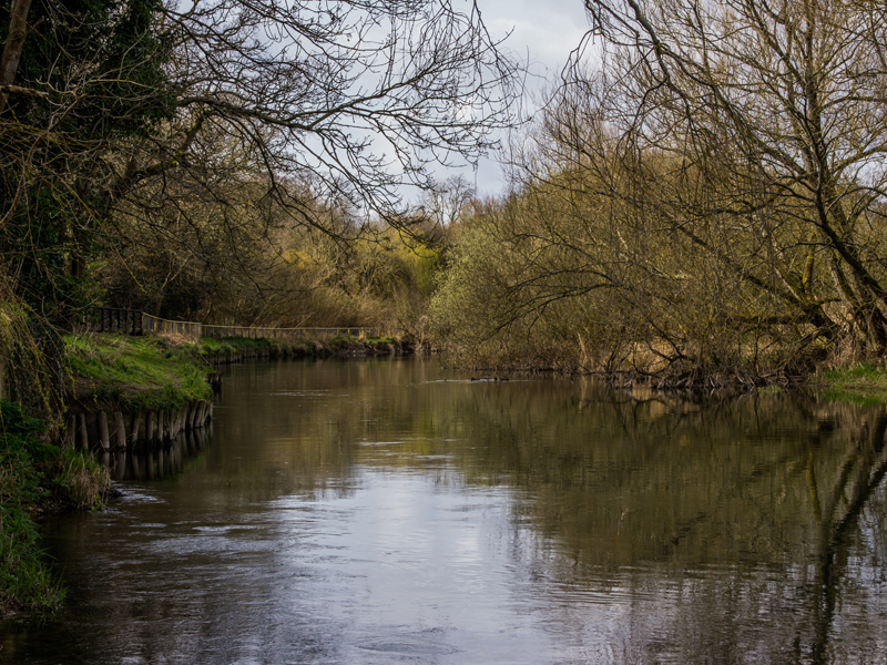 Moordown - River