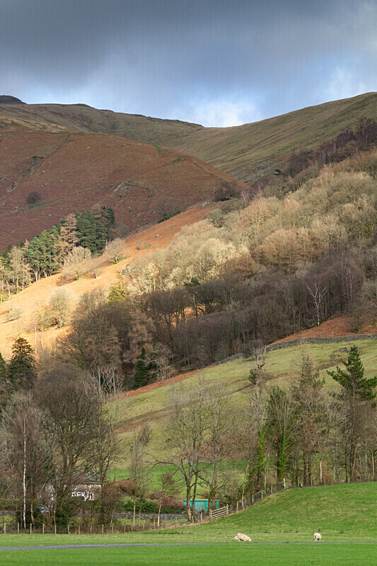 DSC00426 - Lake District