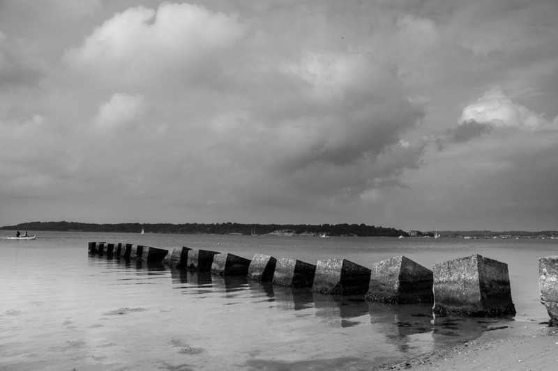 Bramble Bush Bay Black and White - Black and White