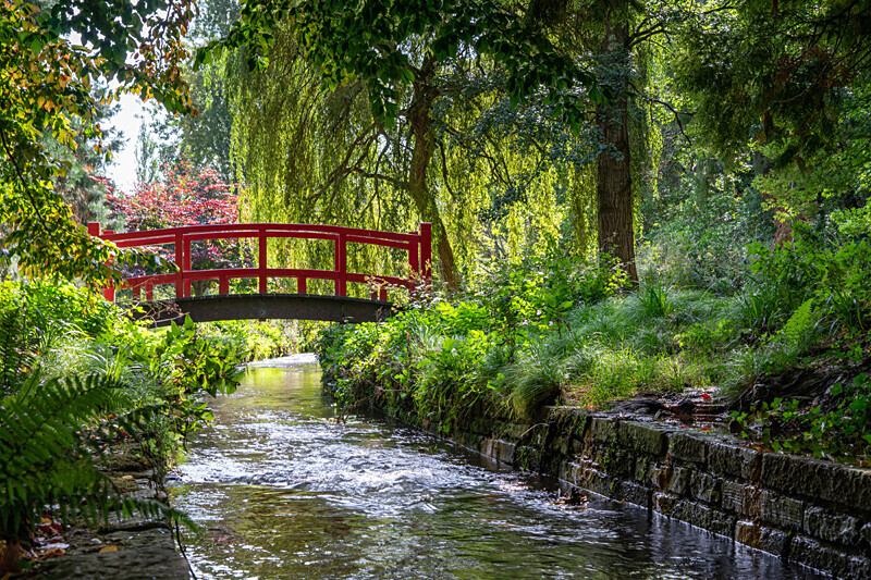 The Red Bridge - River