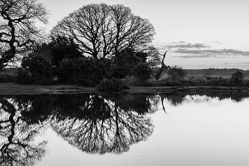 Mogshade Mono - Black and White