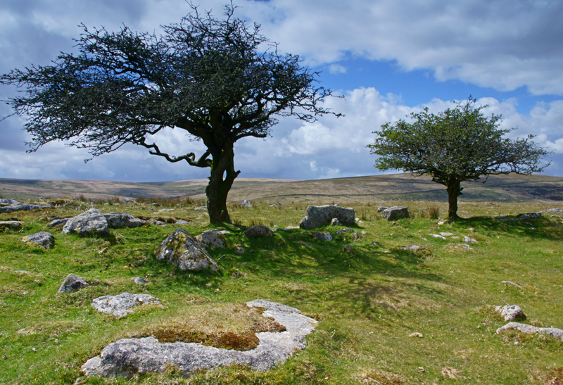 Dartmoor - Devon and Cornwall