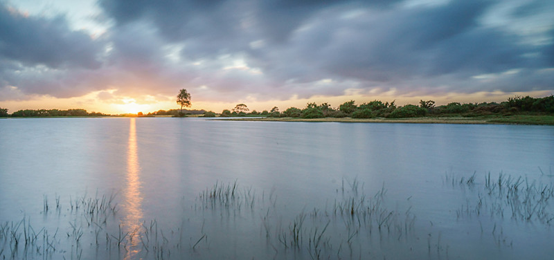 Sunset at Andrews Mare - New Forest