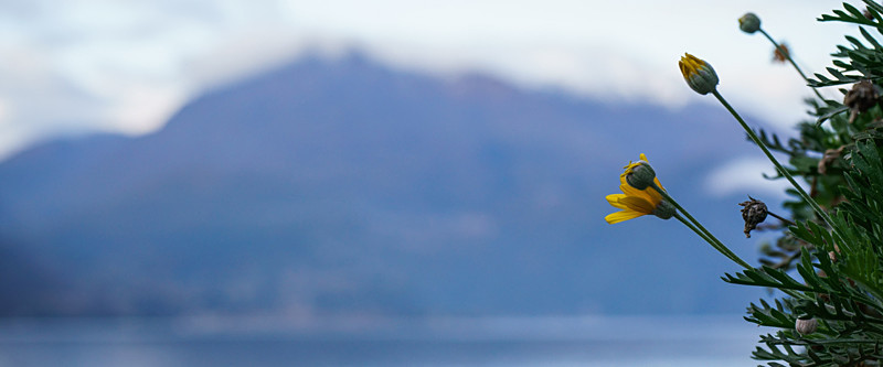 By the lake - Lake Como
