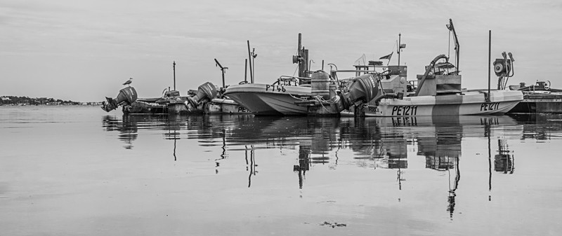 Marina Mono - Black and White