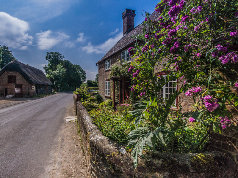 White Mill Cottage - Out and About