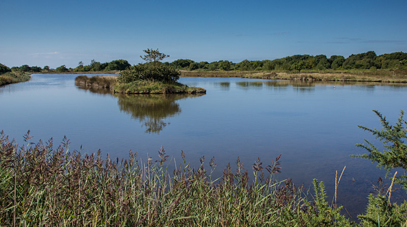 Lake Reflections - New Forest