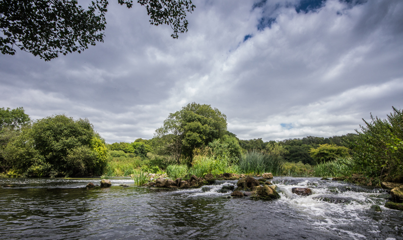 Dudsbury Stour - River