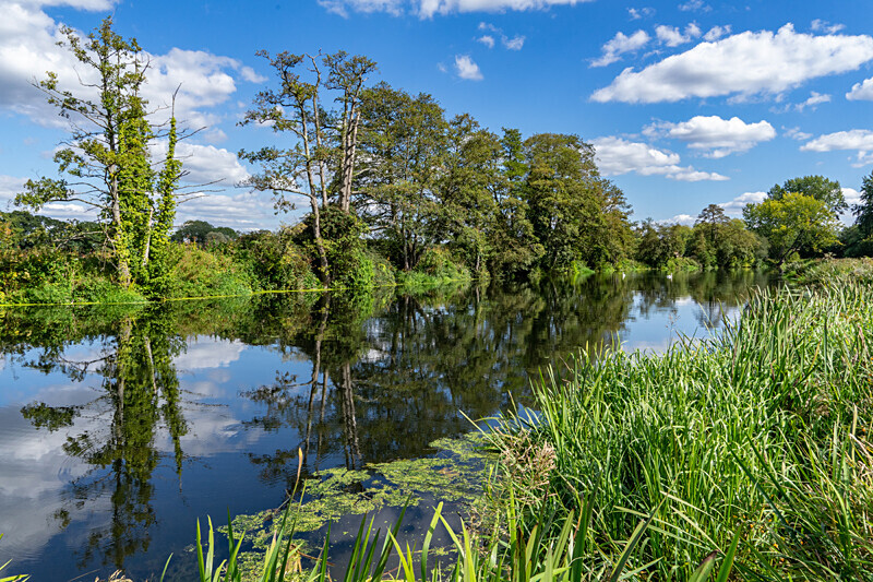 The Canford Stour - Out and About