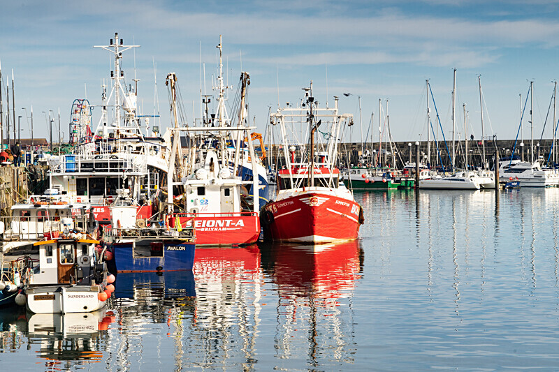 Scarborough - Coastal