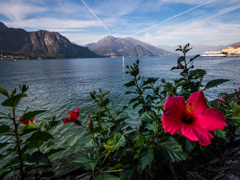 Lake Como - Lake Como