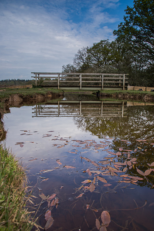Mill Lawn Brook Bridge - New Forest