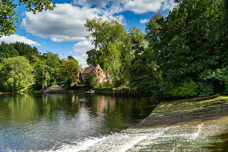 Canford Magna - Out and About
