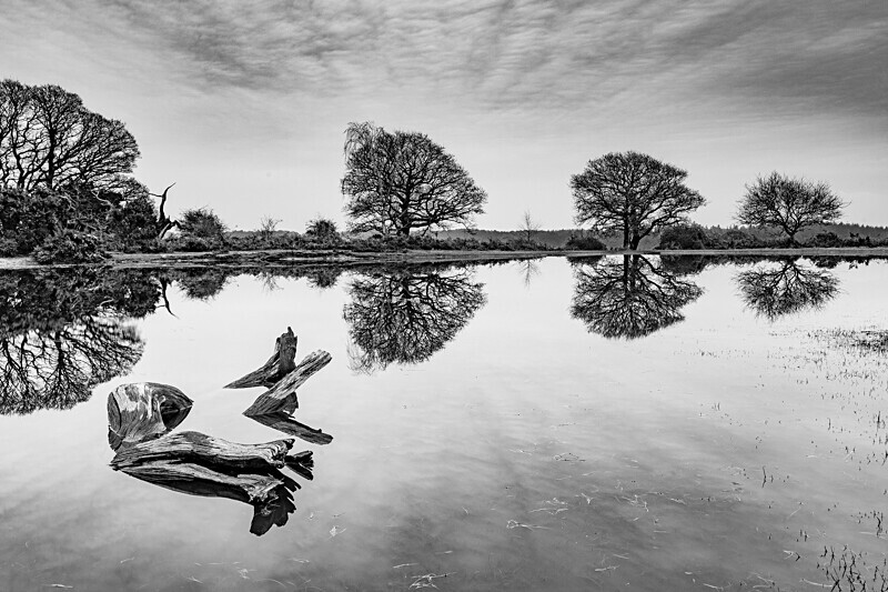 Mogshade Mono - Black and White