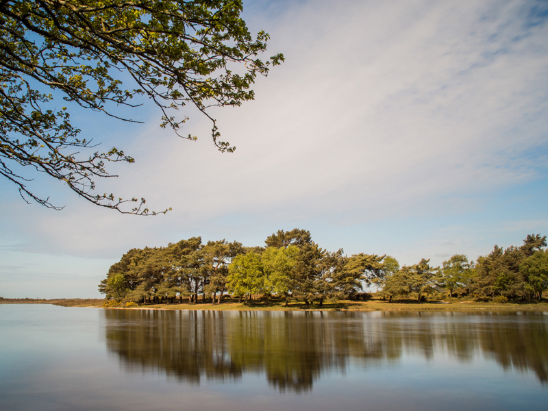 Hatchett Pond - New Forest