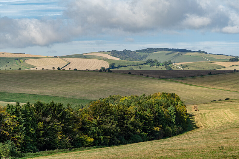 Wiltshire Landscape - Out and About