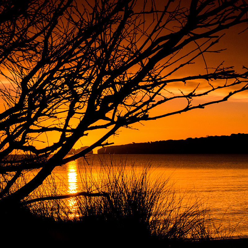 Studland Sunrise - Coastal