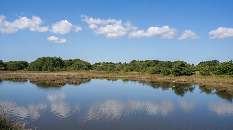 Lower Pennington - New Forest