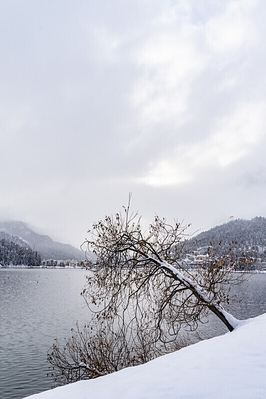 St Moritz - Bernina Express