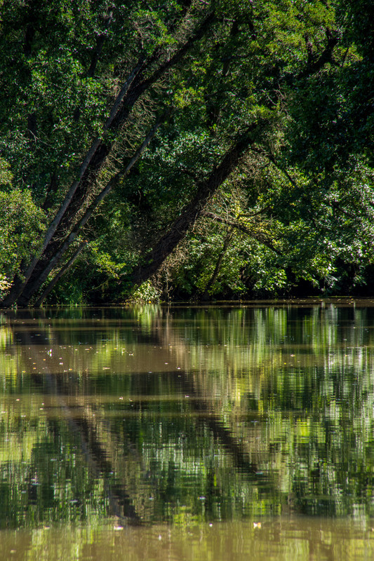 Blandford Stour - River