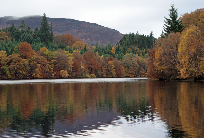 Autumn at Pitlochry - Autumn