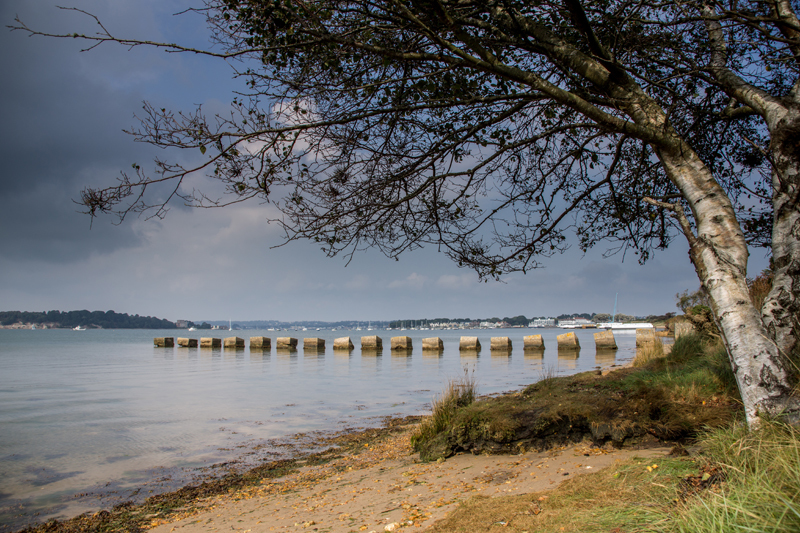 Bramble Bush Bay - Coastal