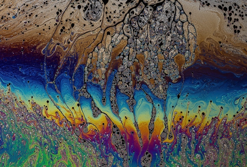 Bubble World - Limited Editions