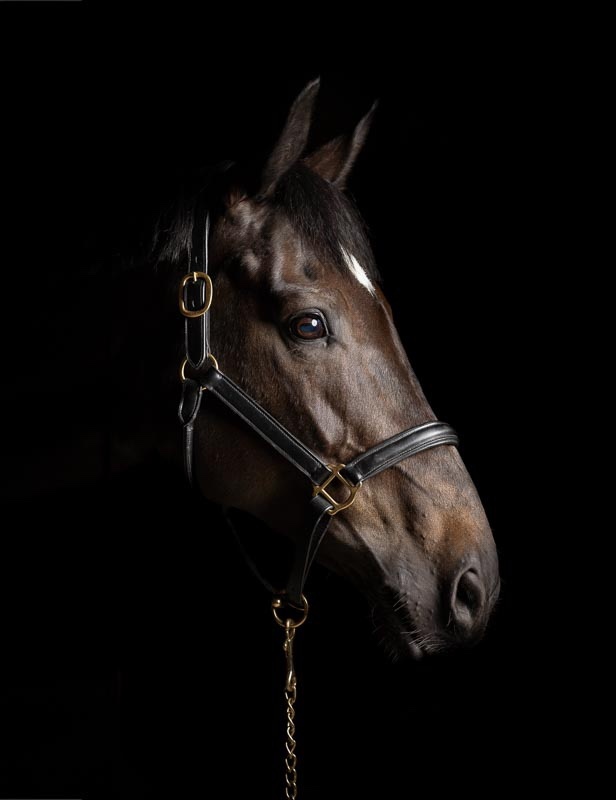  - Equestrian Related (under construction)