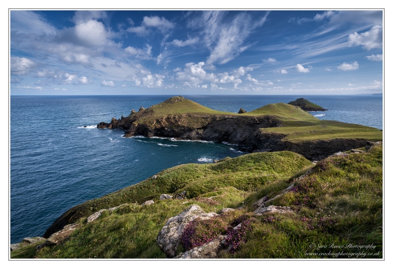 The Rumps - Seascapes