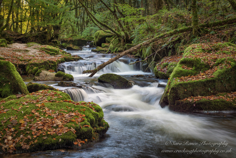 Natural River Landscape in Autumn