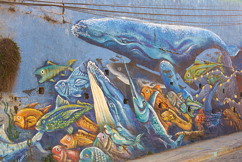  - Urban Art of Valparaiso