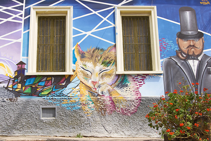  - Urban Art of Valparaiso