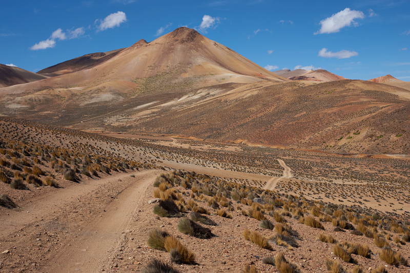 Shades of Brown - Altiplano of North-East Chile