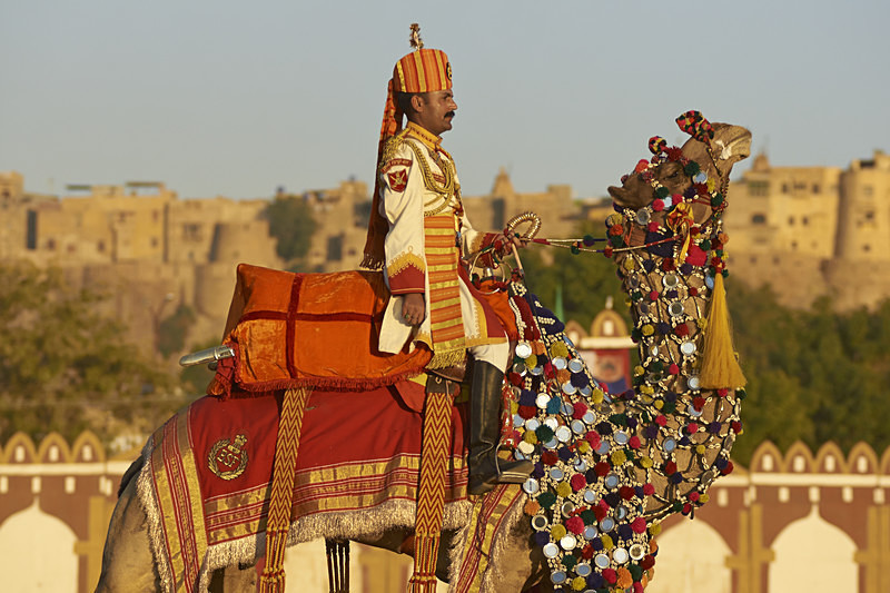 Camel Salute - India