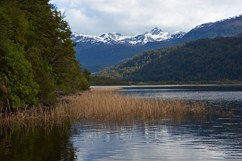 Laguna de las Torres - Carretera Austral - North