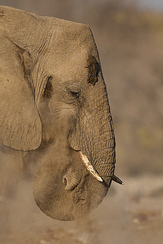  - Etosha National Park - September 2024