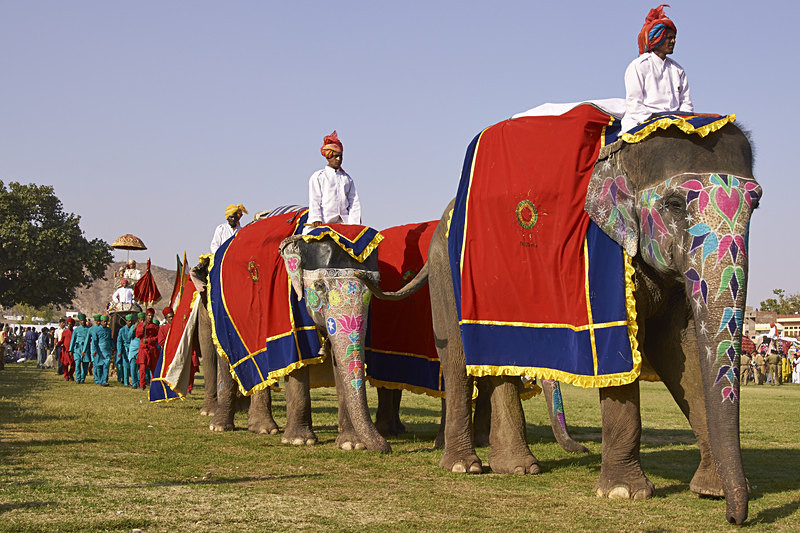 Elephant Festival - India